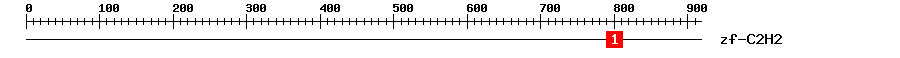 Signature Domain