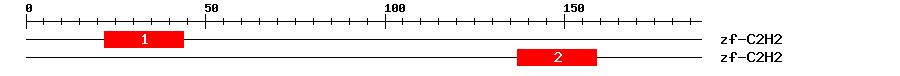 Signature Domain