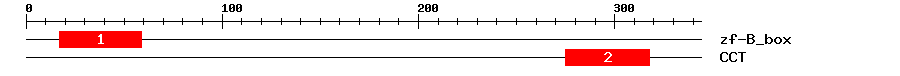 Signature Domain