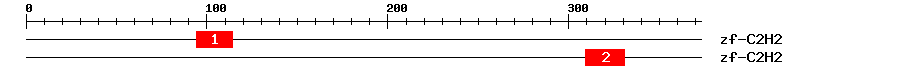 Signature Domain