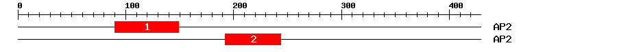Signature Domain