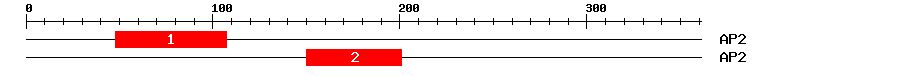 Signature Domain