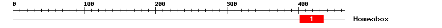 Signature Domain