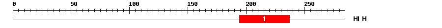Signature Domain