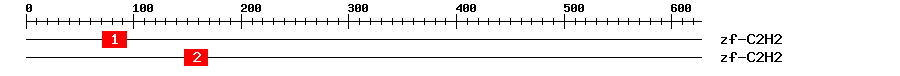 Signature Domain