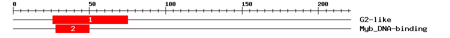 Signature Domain