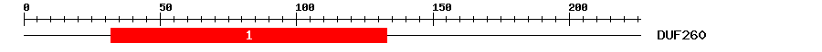 Signature Domain