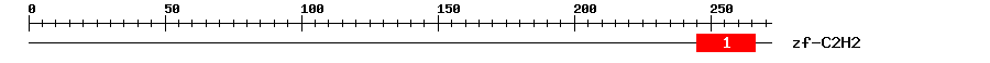 Signature Domain