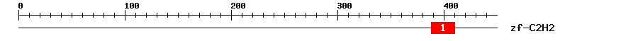 Signature Domain