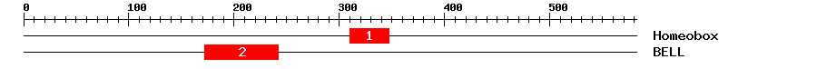 Signature Domain