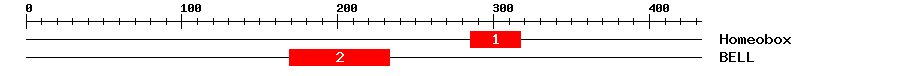 Signature Domain