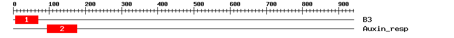 Signature Domain