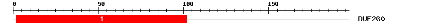 Signature Domain