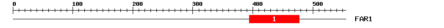 Signature Domain