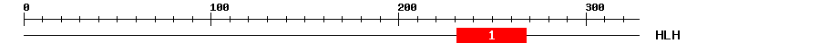 Signature Domain
