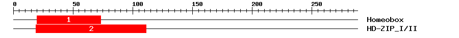 Signature Domain
