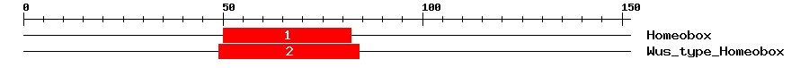 Signature Domain