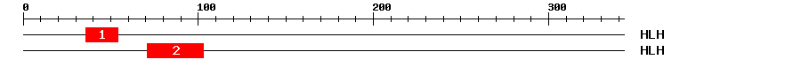 Signature Domain