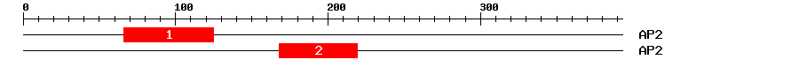 Signature Domain