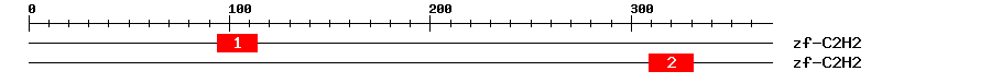 Signature Domain