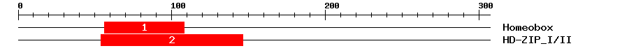 Signature Domain