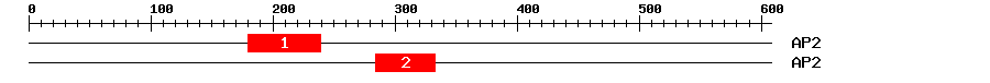 Signature Domain