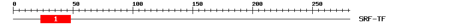 Signature Domain