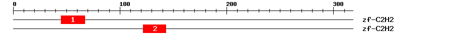 Signature Domain