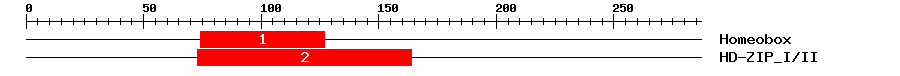 Signature Domain