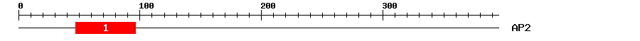 Signature Domain