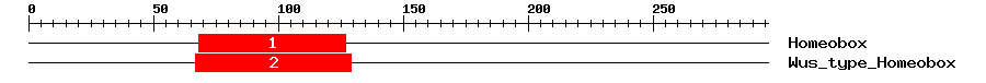 Signature Domain