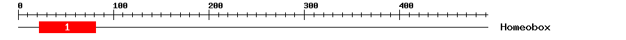 Signature Domain