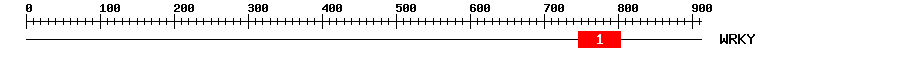 Signature Domain