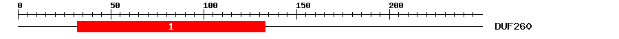 Signature Domain