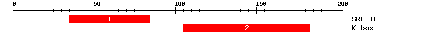 Signature Domain
