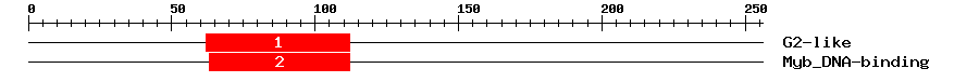 Signature Domain