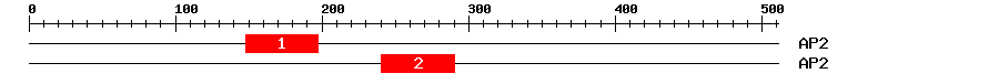 Signature Domain