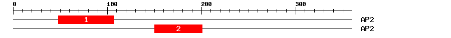 Signature Domain