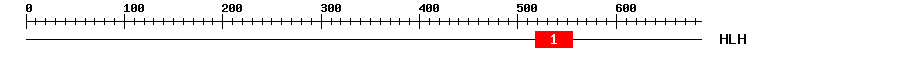 Signature Domain