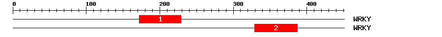 Signature Domain