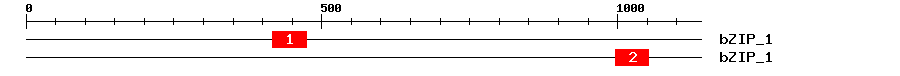 Signature Domain