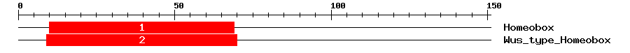 Signature Domain
