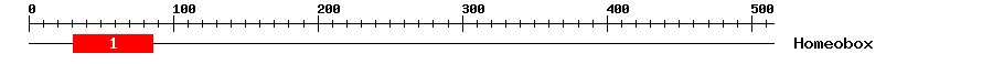 Signature Domain