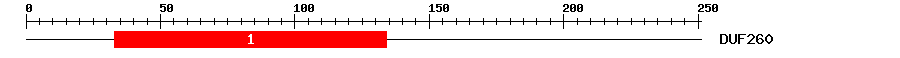 Signature Domain