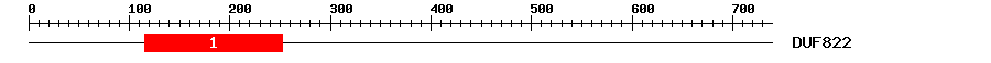 Signature Domain