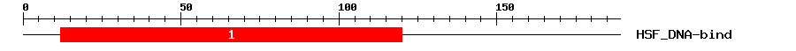 Signature Domain