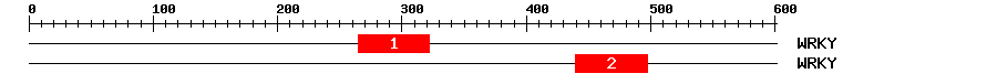 Signature Domain