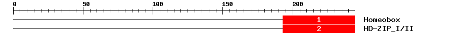 Signature Domain