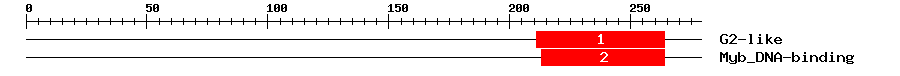 Signature Domain