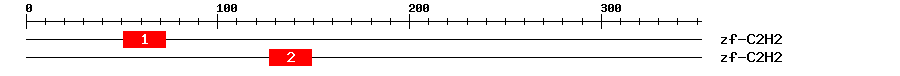 Signature Domain